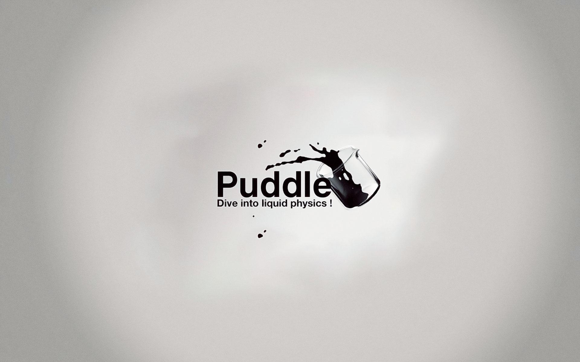 Puddle