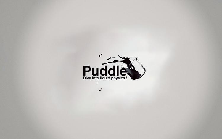 Puddle